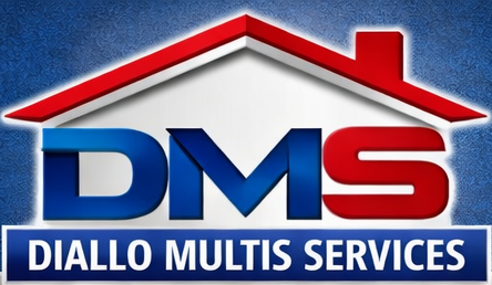 Logo DMS